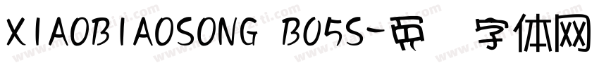 XIAOBIAOSONG B05S字体转换